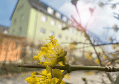 Dr.-Frank-Straße in Fürth  – Brandschaden