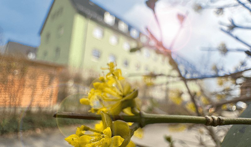 Dr.-Frank-Straße in Fürth  – Brandschaden